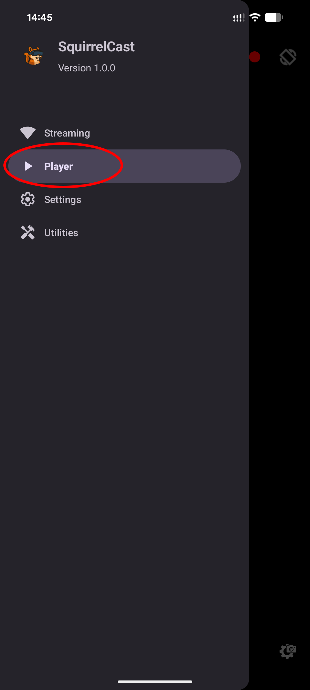 Open the drawer and locate the Player tab