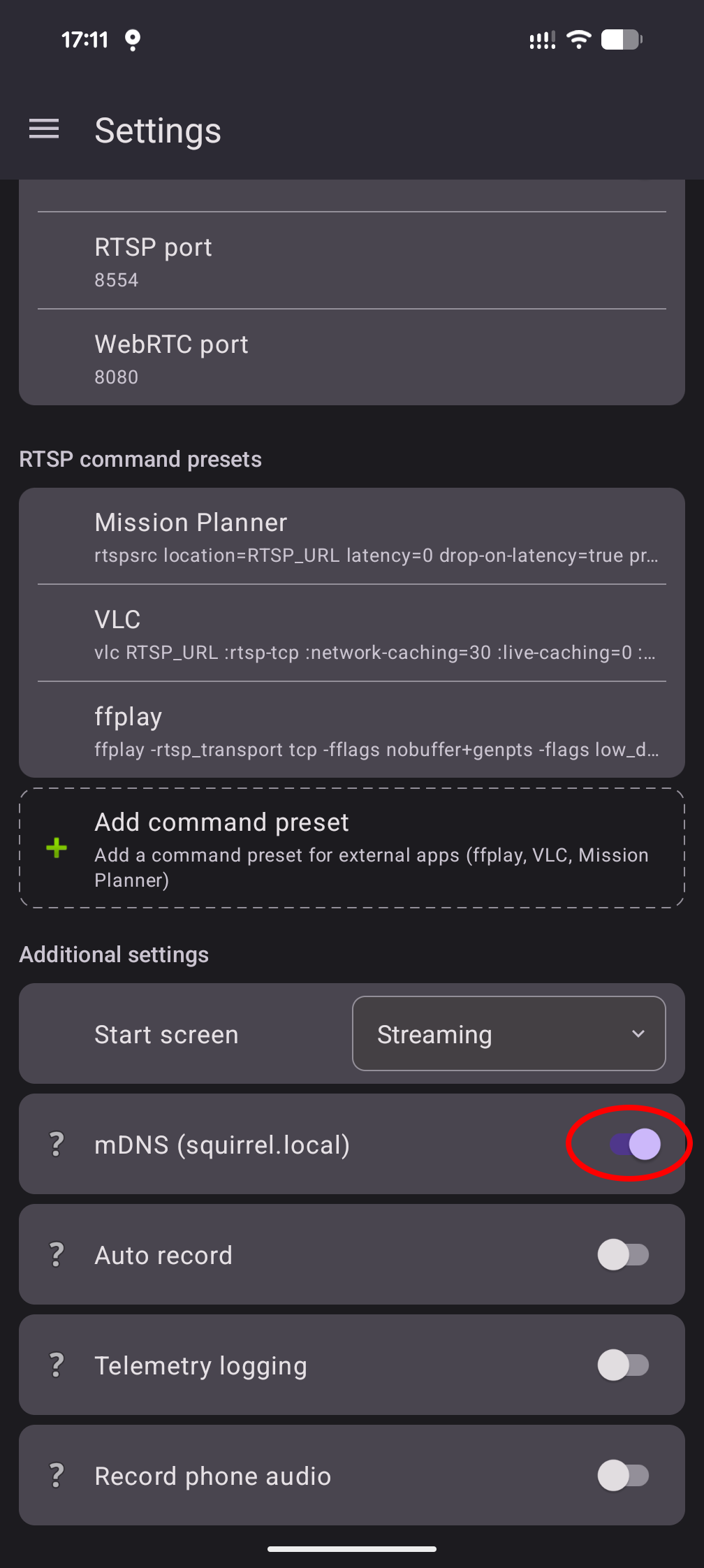 mDNS setting to enable squirrel.local discovery